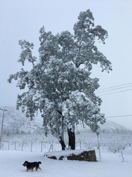 Posada Del Jinete San José de Maipo Zewnętrze zdjęcie